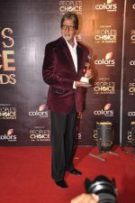 Amitabh Bachchan at People_s Choice Awards in Mumbai on 27th Oct 2012 (221).JPG